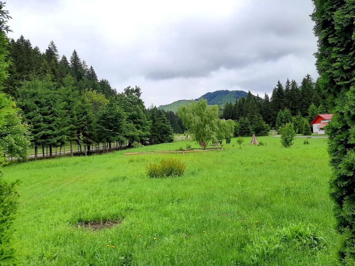 Casute Valea Zanelor Hotel Covasna Luaran gambar