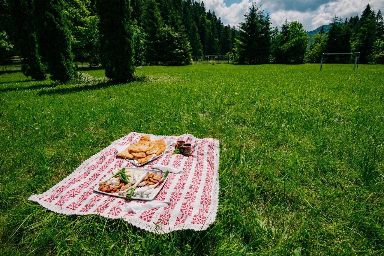 Casute Valea Zanelor Hotel Covasna Luaran gambar